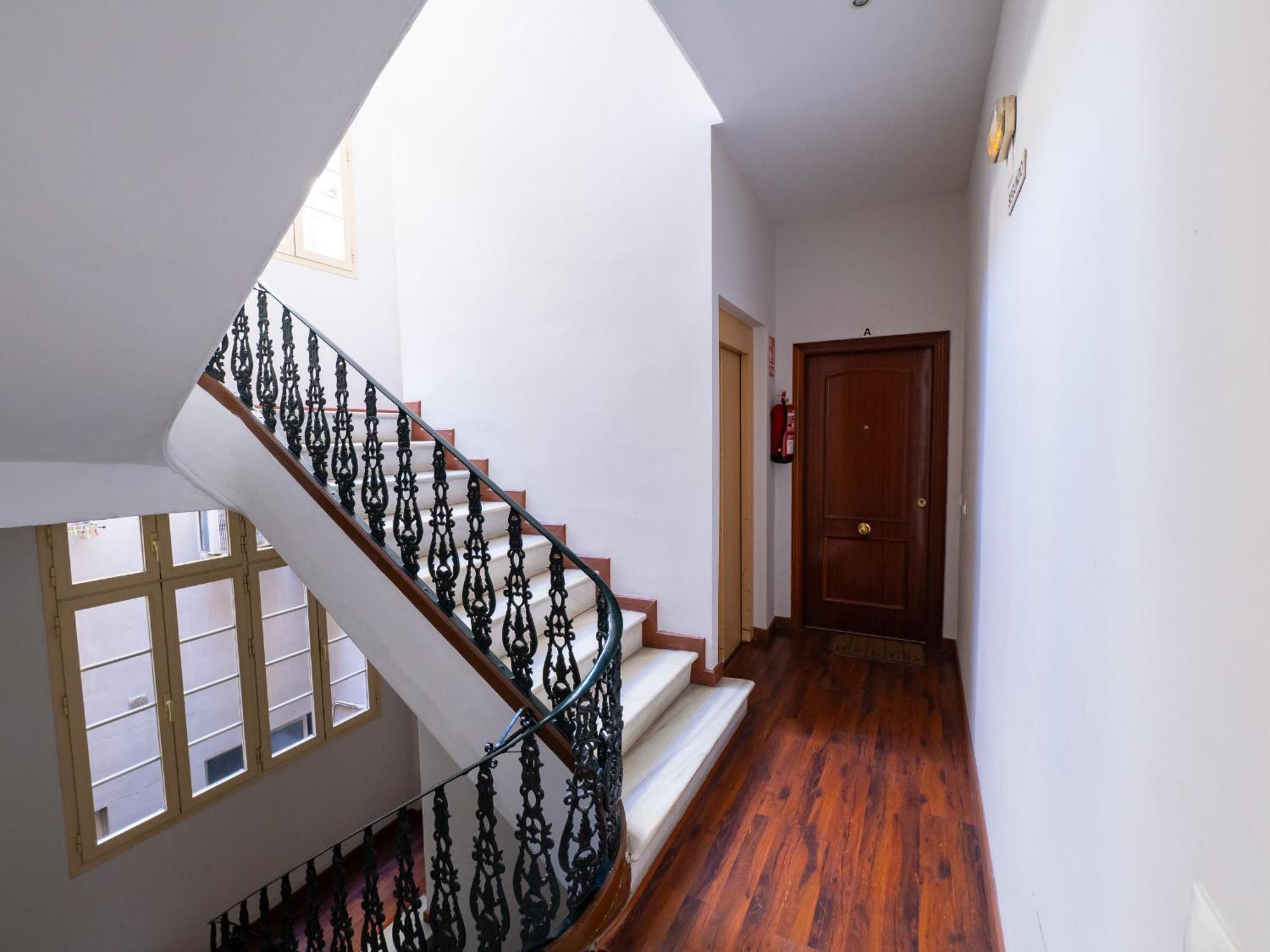 Cubo's Estudio Center Appartement